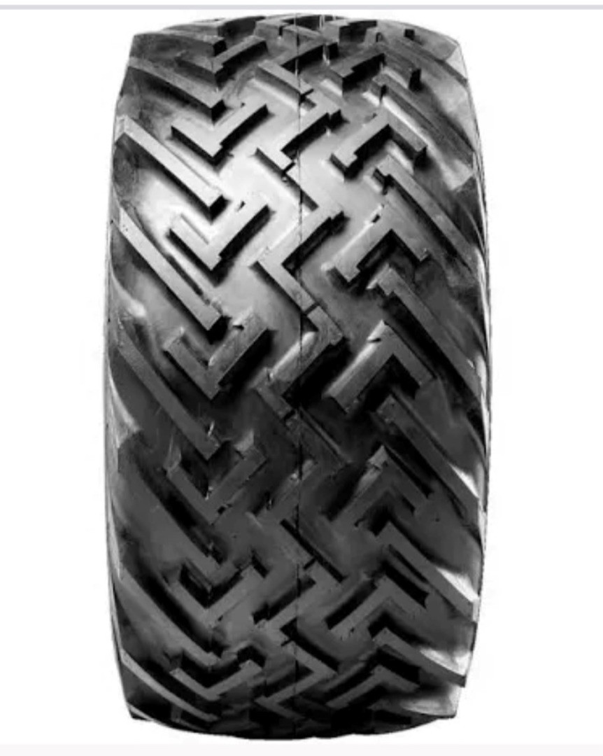 3bbeb7f0-cd92-490c-a8b0-901be317903e-Foto 2.jpg