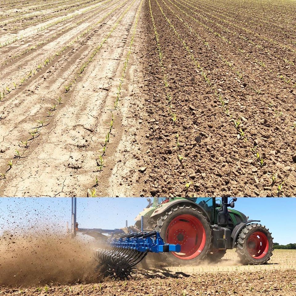 fe92b14c-79ab-4495-bf64-26aa1737e67a-Rotanet Control Maïs.png