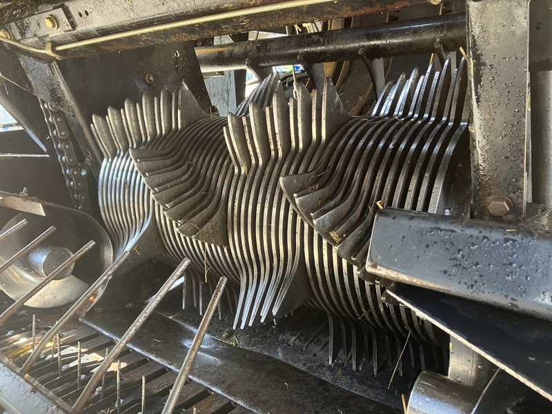 2e75e3c8-1fc5-4372-b615-cedccc2a82ca-IMG_0760 1.jpg