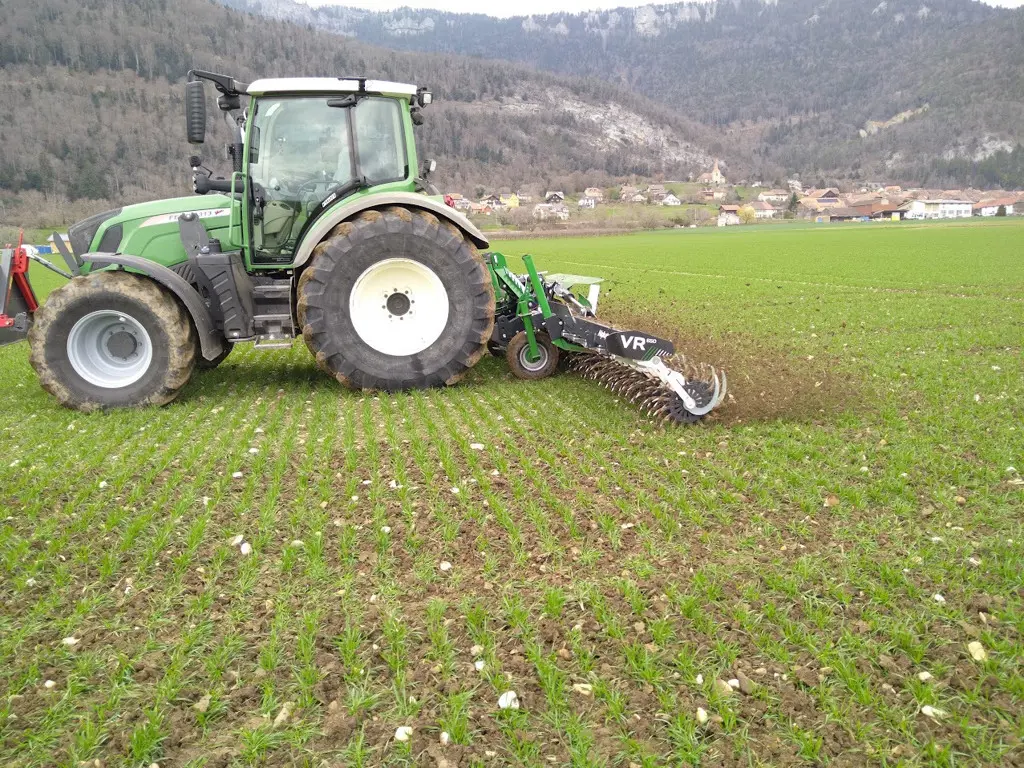 Rollhacke DICKSON / KERNER