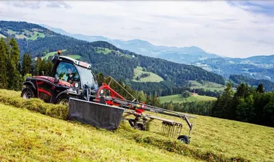 Frontschwader Fella TS 351 DS - wie neu