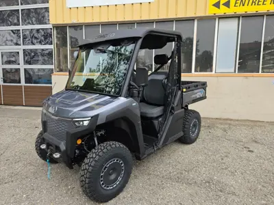 Side by side CFmoto électrique