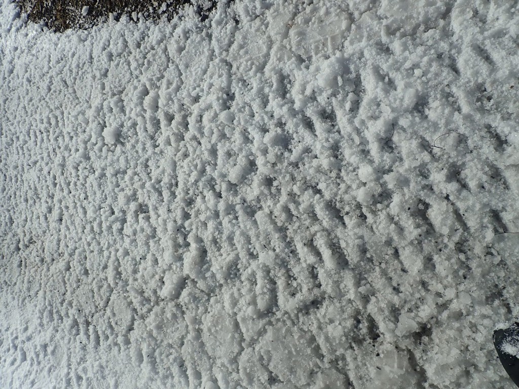 ab20ec91-6750-4267-8876-07619ef07cb3-Westa 4.jpg