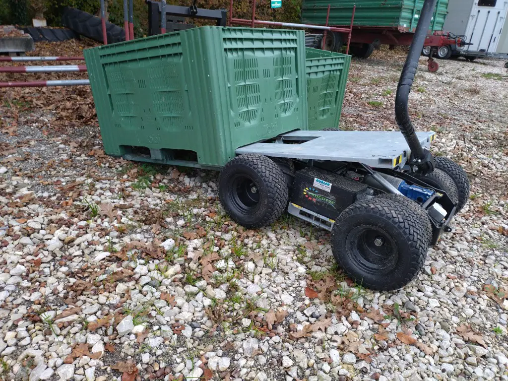9bf3aff9-3504-480b-a1b5-5e09bb8a28bd-20241108_082045.png