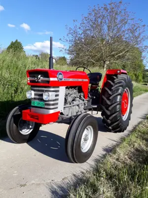 Massey-Ferguson 185