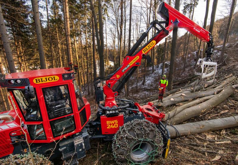 3203b5ea-bc0a-4e37-bd4b-f74c53e358a2-Screenshot 2024-02-05 085616.png