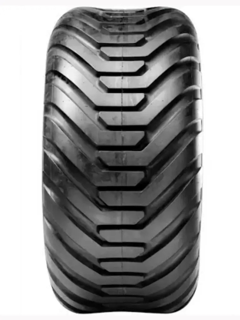 1d503281-d137-475f-ab8b-25a161bc7f37-Foto 2.jpg