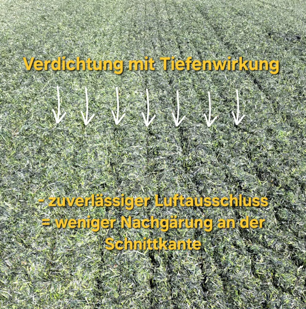 2524b2c1-639f-4752-a895-d29b85ef85e4-Tiefenwirkung.jpg