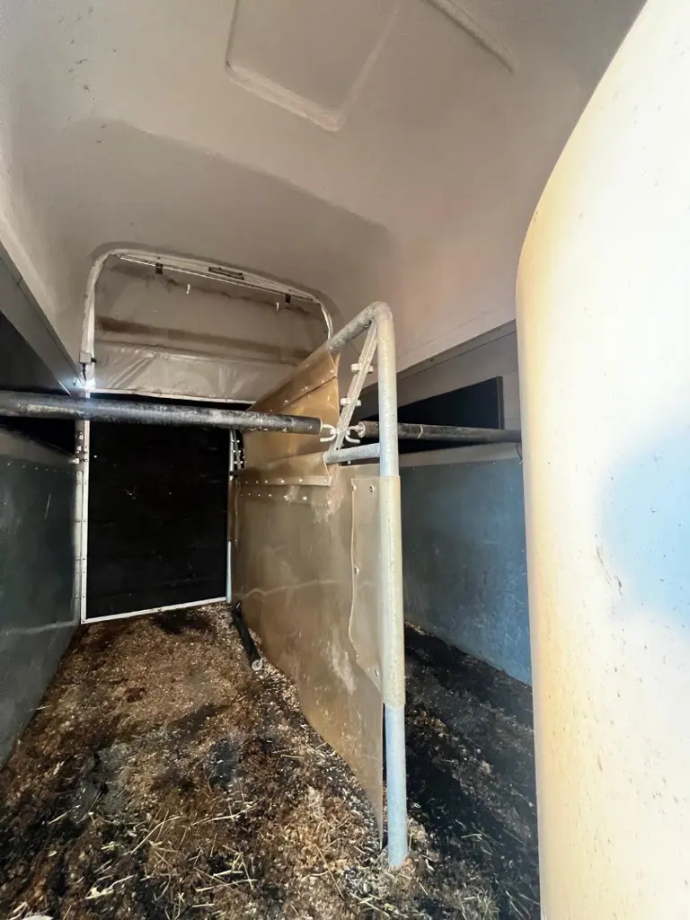 8dd833ab-f507-4d1f-a5d4-3b76c35ff6ac-Pferdeanhänger 2018 (8).jpg