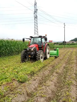 Lindner Lintrac Pflegetraktor Stufenlos