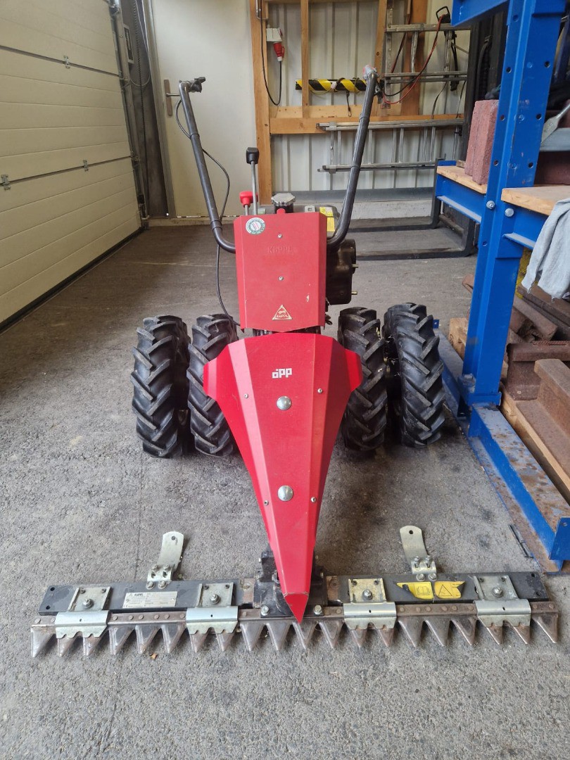 06cfeda2-9b65-460a-9bff-25f79148c6bb-PHOTO-2025-05-07-16-42-47 5.jpg