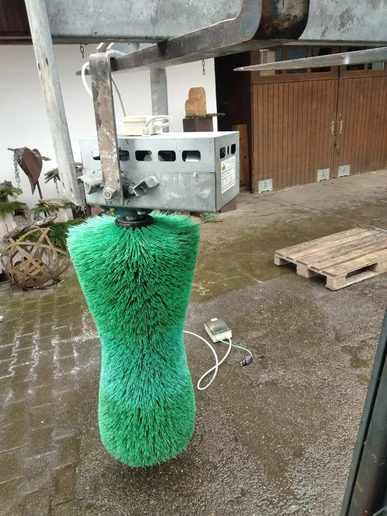 30eb7e2b-0683-4643-8a84-c5ad85960fc6-Pendelbüste grün (1).jpg