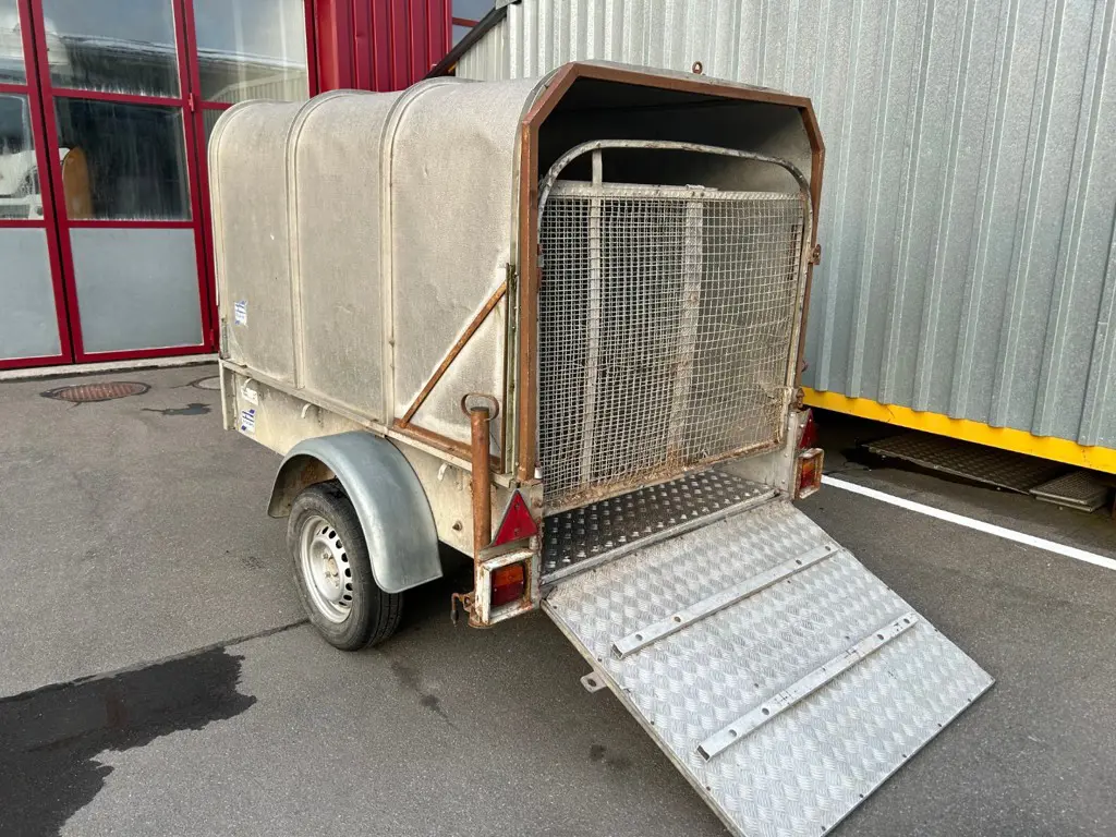 906c3bbb-ec8e-487a-8608-80fc1e78b445-Foto 02.04.26, 19 09 54.jpg