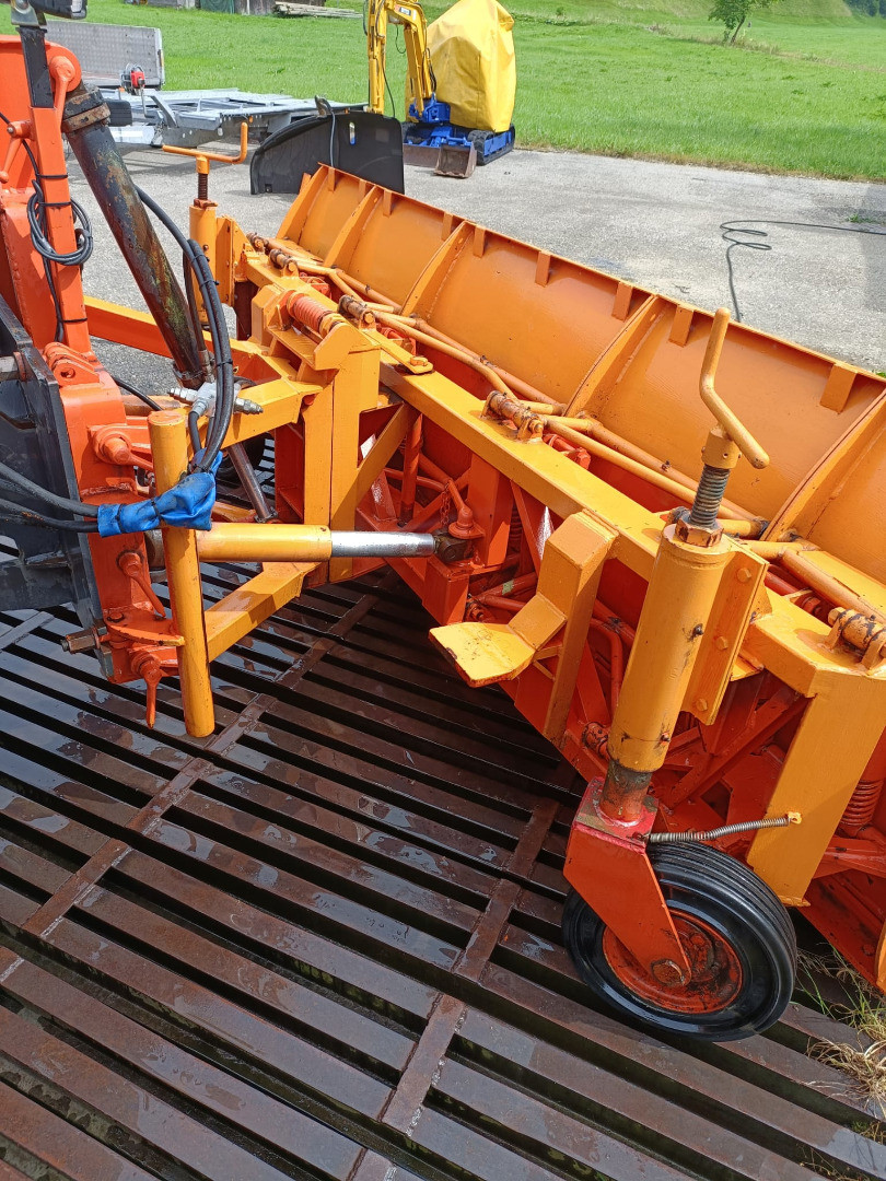 8428a996-7e00-48f9-98c7-d1aba9a0cb59-WhatsApp Image 2023-10-08 at 10.20.16 (1).jpg