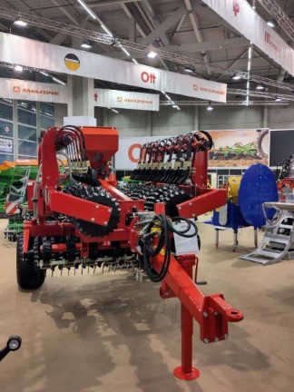 c428eea8-c923-4592-9c9d-bcc36006f132-TIP Stern.jpg