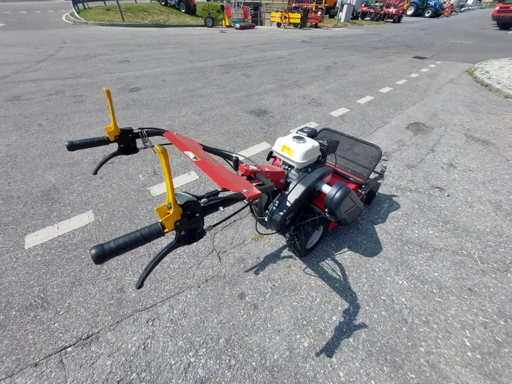 1dea3330-e079-4ae1-b0ec-ff1b3865b45e-20260723_114056_2MB.jpg