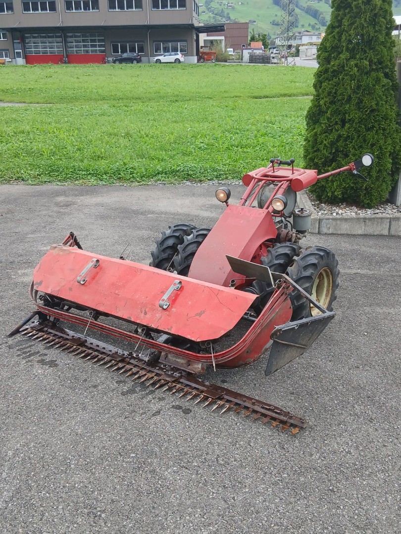 0d3ae0dd-d2ca-4673-87fd-3ef137e4a4f4-WhatsApp Image 2025-09-16 at 18.23.34 (1).jpg