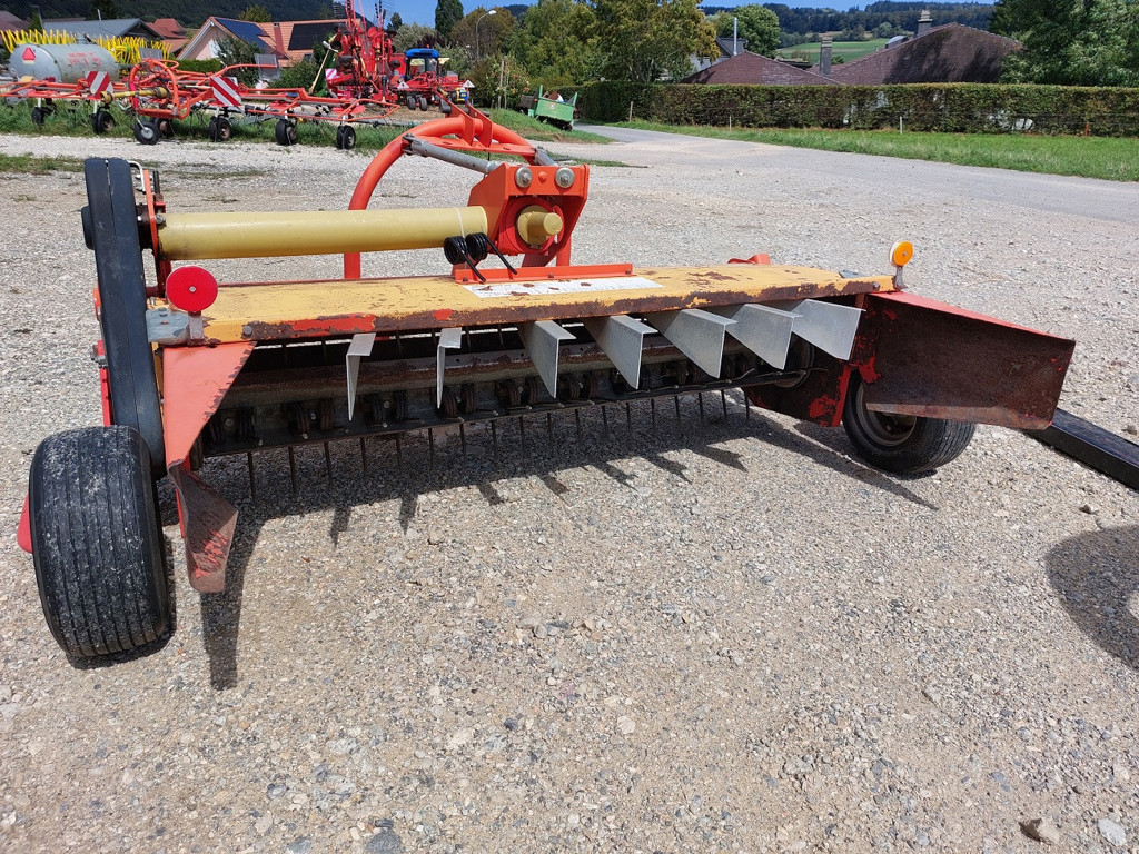 2657d0ce-1c4d-4efa-9d9b-c7eb4df1abbd-Fella Stauffer  (2).jpg