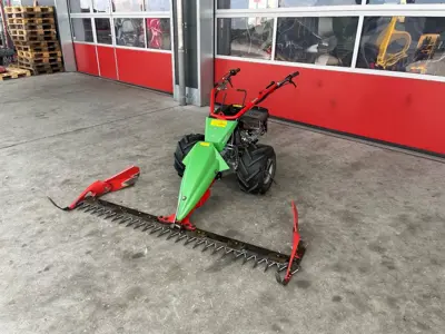Rapid Swiss