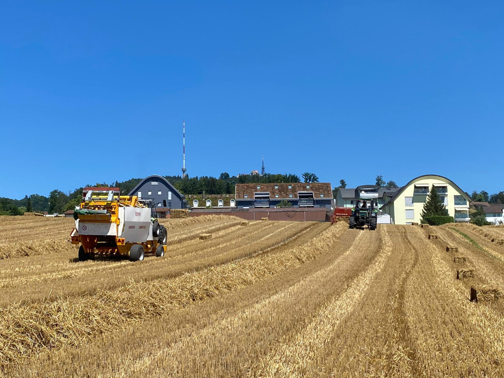 d2685bc7-797d-4714-9026-353d1450e0d2-PHOTO-2022-01-29-20-49-16 (1).jpg