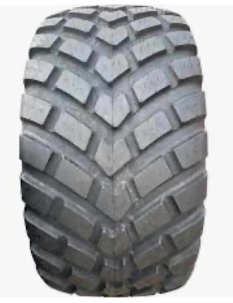 2c13b103-5bc0-42bd-b321-f6fd81274332-Foto 4.jpg