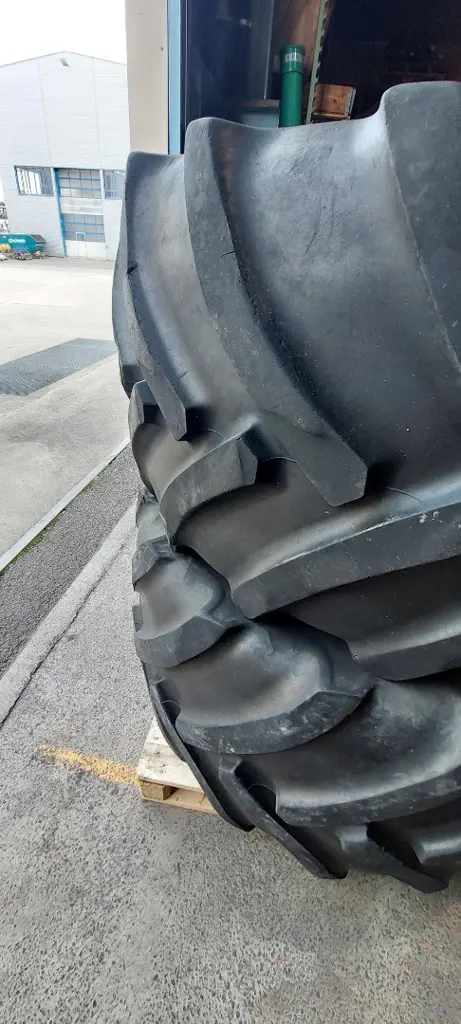 830e080d-31d2-4640-a6fc-677f8345a67a-shared image (1).jpg