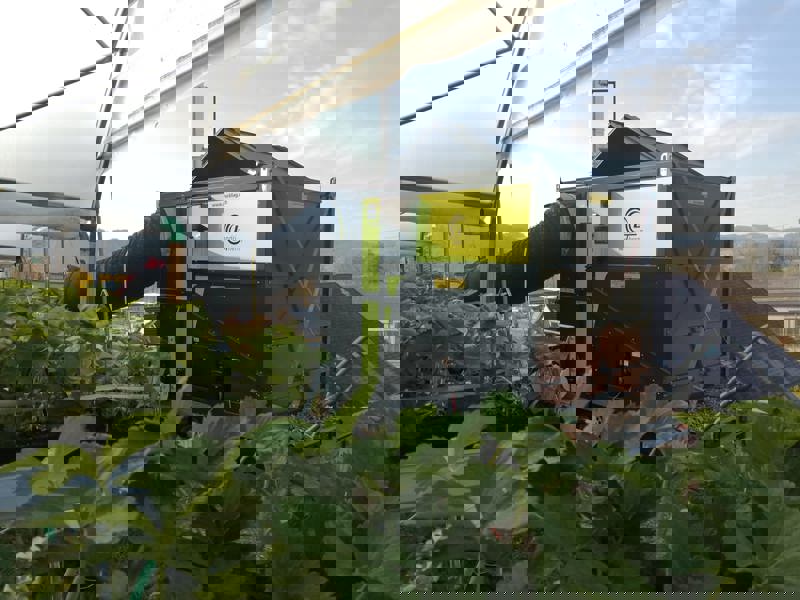 1203e428-11a6-4a0a-9d7c-cf0e992a0c54-WhatsApp Image 2023-03-22 at 18.06.05.jpeg