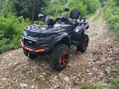 Top gepflegter TGB Blade 1000LT FL EPS MAX 4x4