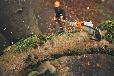 STIHL HTA 160 Akku-Hochentaster