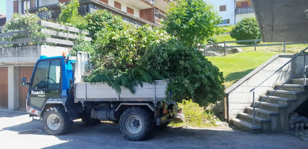 d248fdc3-d78c-462a-ad12-786441dfdd0c-WhatsApp Image 2026-03-25 at 06.jpg