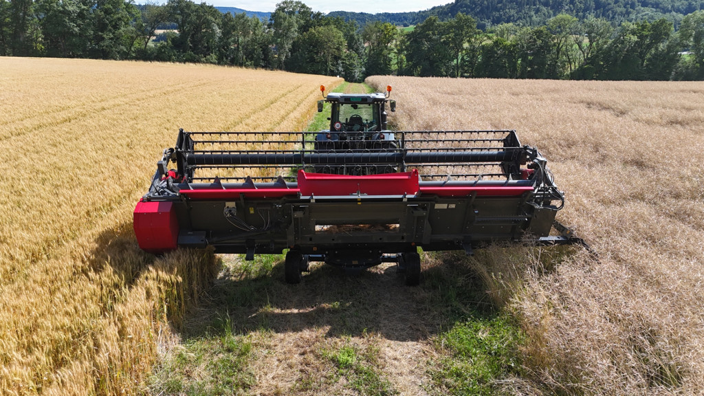 306954d4-a6a9-482c-89ef-fc1bafda52e9-DJI_20250708224839_0200_D (3) Full HD (Gross)).jpg