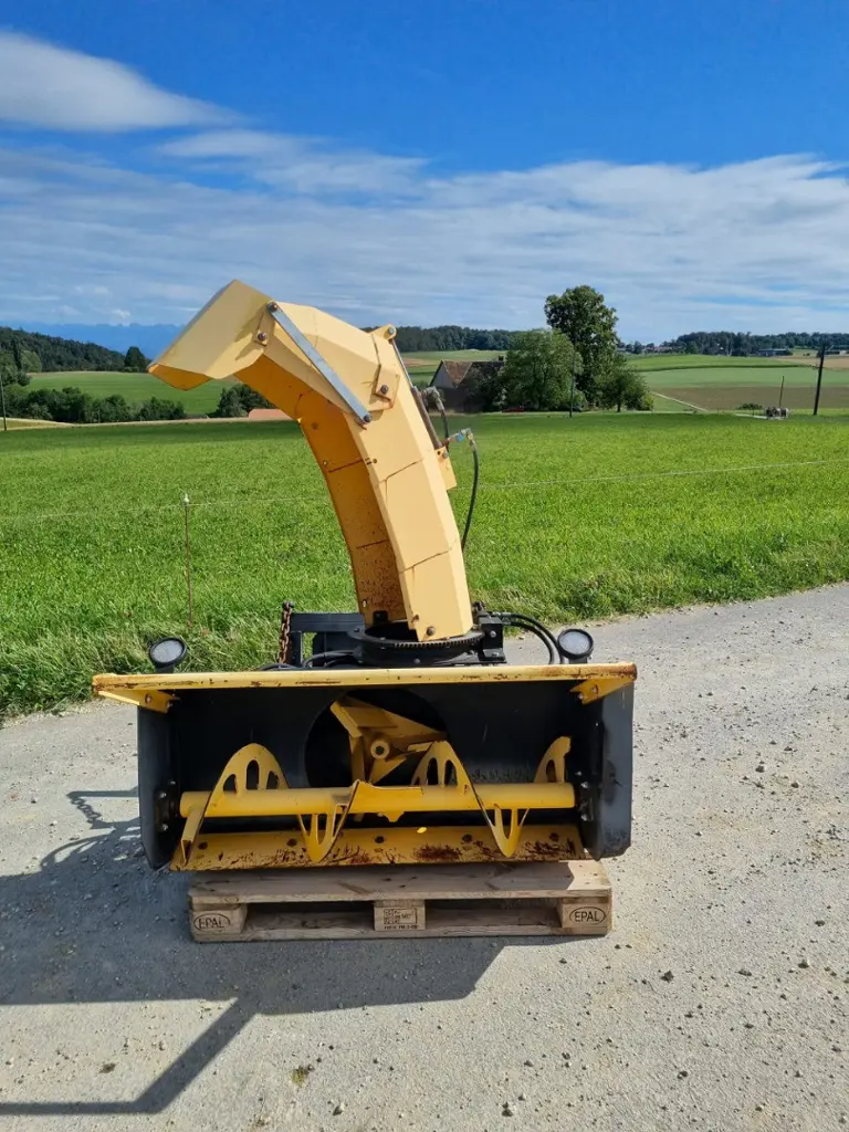 76673e00-8aca-446f-8a03-fd6747a84aeb-Trejon (6).jpg