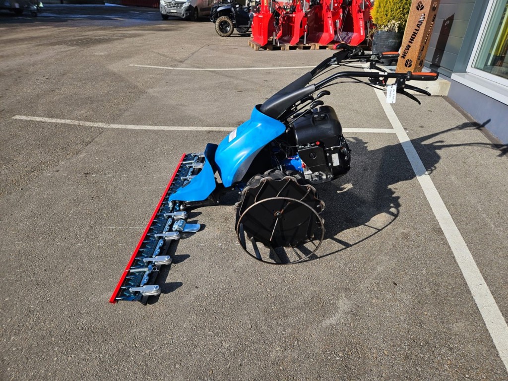 26995ca3-2a62-4511-a06d-97b2c48577e4-WhatsApp Image 2026-01-20 at 13.22.43 (1).jpg