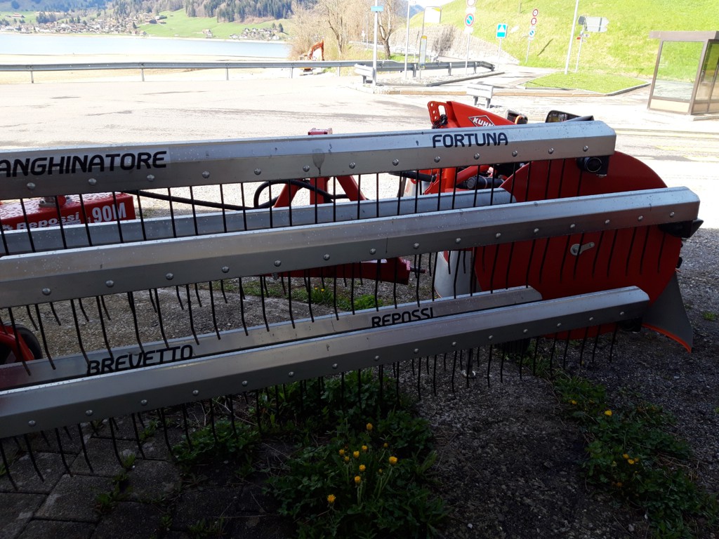 a27d0e1e-e379-40f6-b29f-2beda239f187-Kammschwader_90M_20250414_101133 (5).png