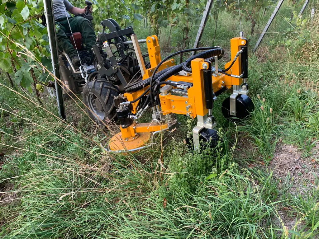 6acdd0ab-fe13-4aea-8550-5acbf3de90aa-WhatsApp Image 2023-08-23 at 11.21.47 (3).jpg