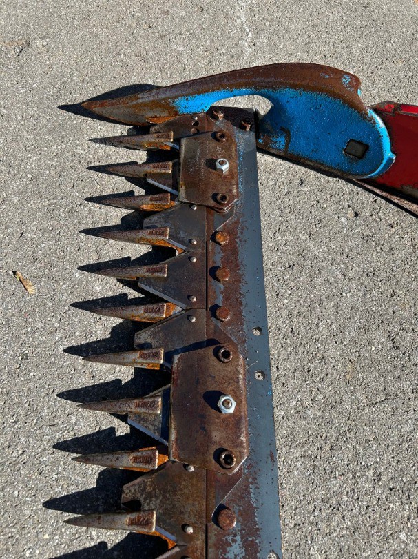 8e304a1b-322f-4e33-807d-01944accd4b3-Foto 07.10.25, 11 29 00.jpg