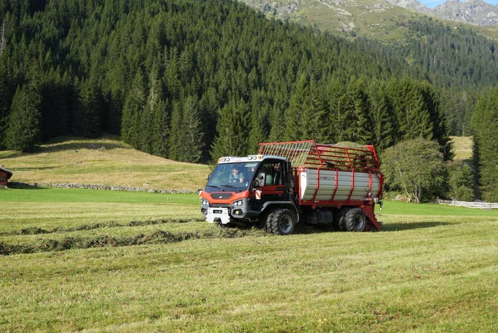 feb1a7a3-6acf-4488-882f-985ef85bc29d-WhatsApp Bild 2025-10-27 um 17.jpg