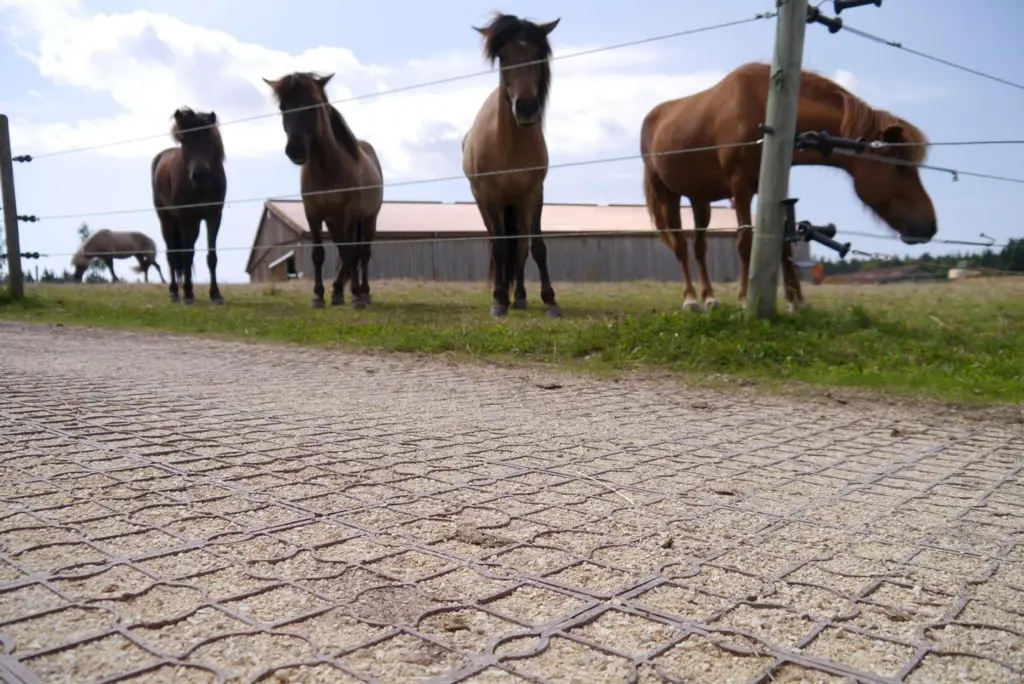 ede45f0b-03f5-428d-be3b-1e1a4c9de1e8-Ecoraster E 50 S (7).jpg
