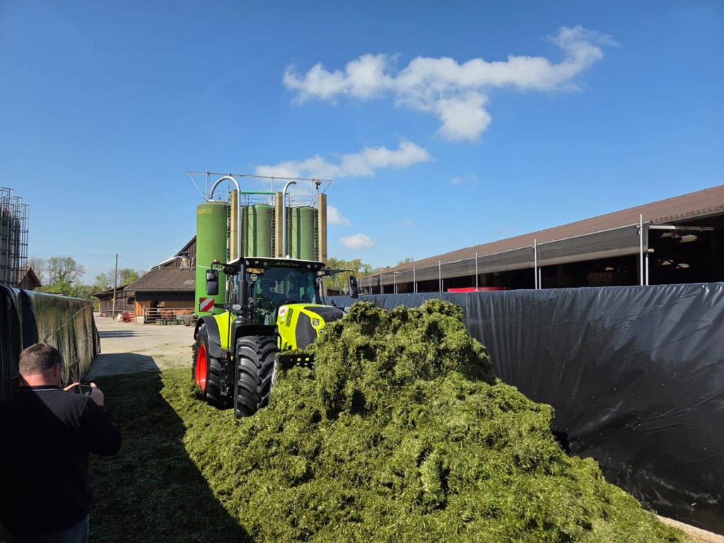 88a85eb4-ab8f-4380-87d8-221a1a83f3d1-WhatsApp Image 2025-05-26 at 08.png