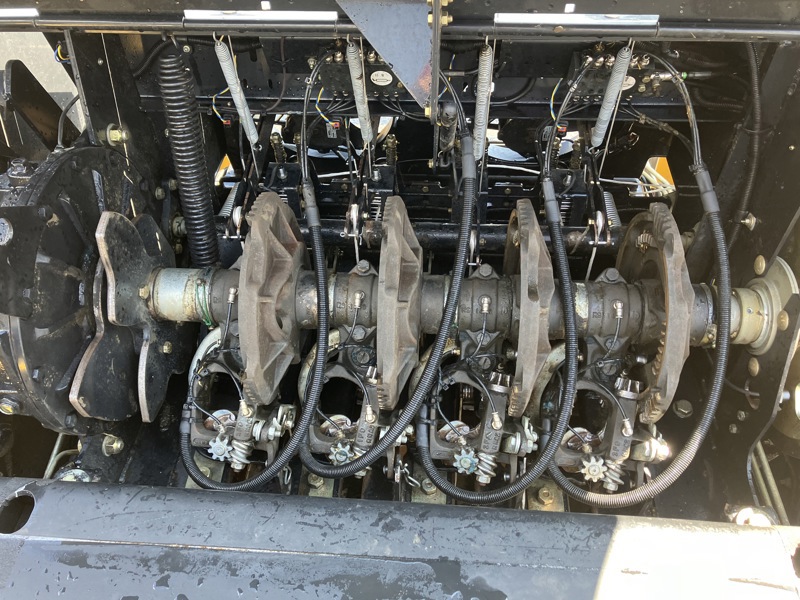 cbe7fef1-7469-4213-bbe3-ccb0e00c13df-IMG_0768 1.jpg