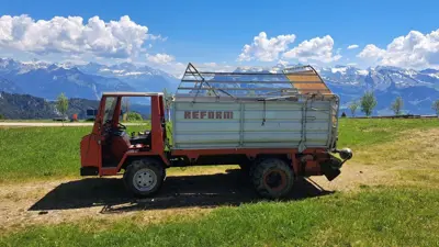 Reform Muli 30