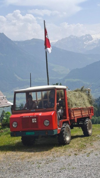 ee3b14f5-f27c-489d-b136-3b16540da2cf-Muli 33 vo li Sepp Häfliger .jpg