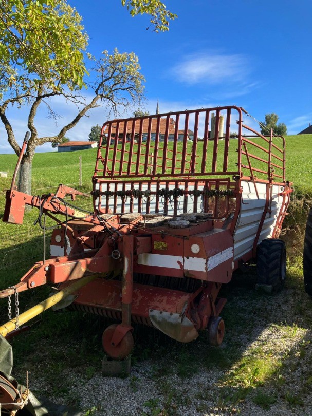 912089b5-7651-4cd0-9156-a5f63b90a113-WhatsApp Image 2025-09-24 at 08.jpg