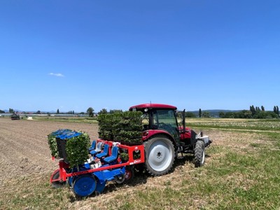Ferrari FMAX Pflanzmaschine Bj. 2022