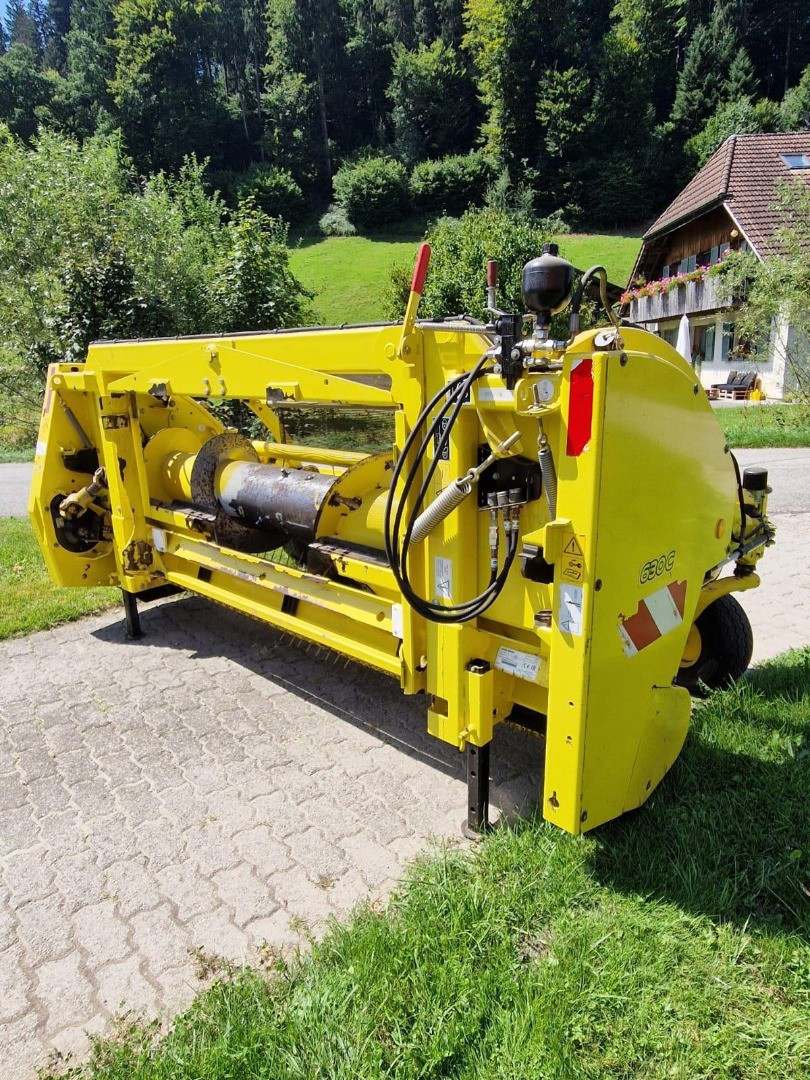 2c4d19a8-b90c-42f5-a222-da0407e9a876-shared image (2).jpg