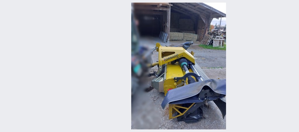 cb8a16fa-7c3d-4ee9-8302-10b08da294a4-Bild 2.jpg