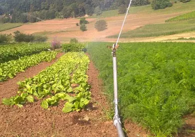 Bewässerungsrohre jetzt Bestellen
