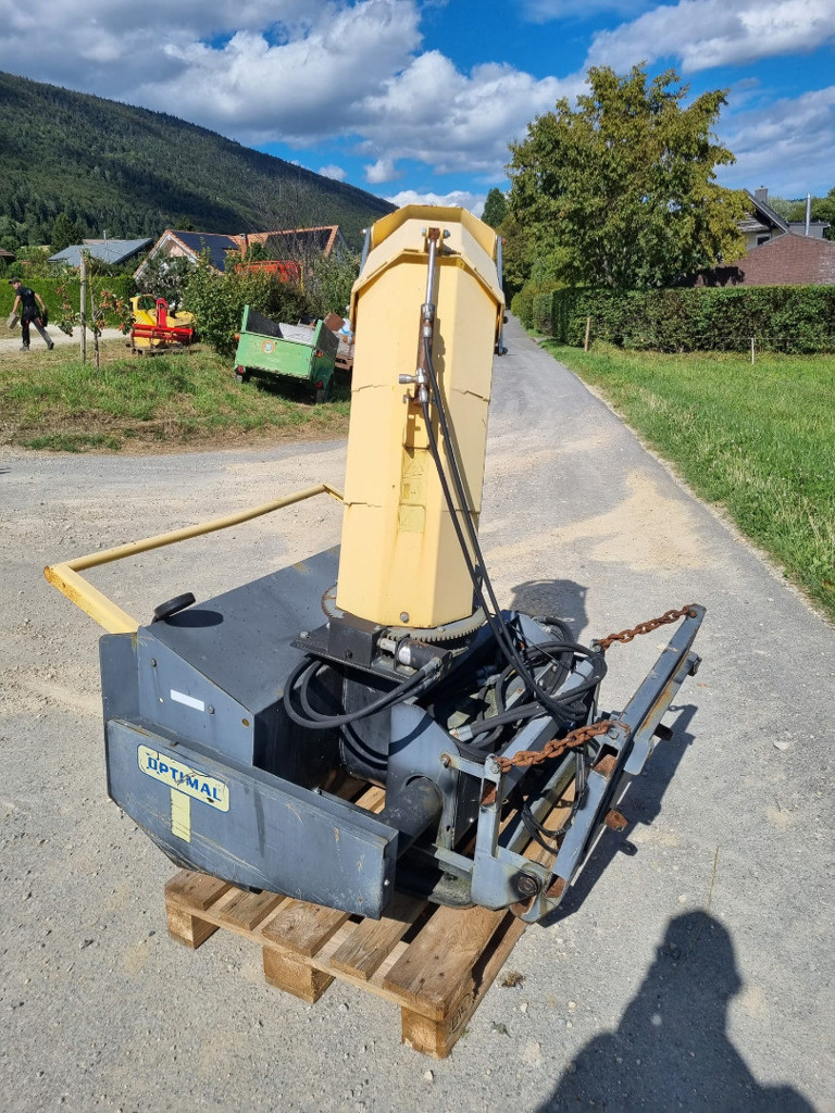 04eb8941-17ae-4307-95e3-918569840508-Trejon (7).jpg