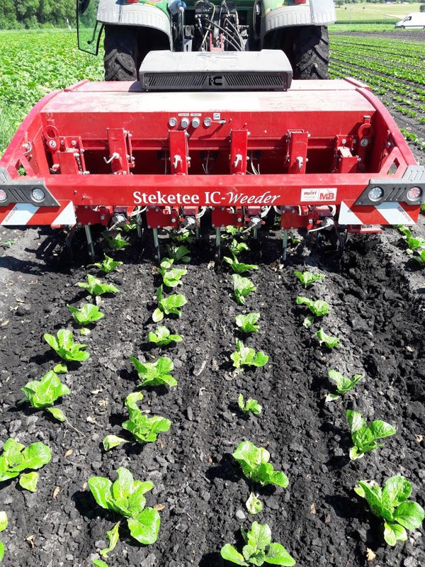 60d61555-ccca-444a-aec6-e14f5adaa701-IC-Weeder .jpg