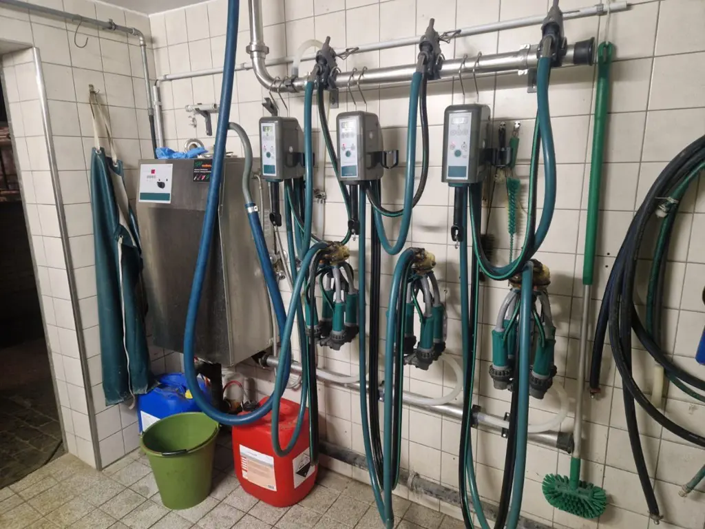 Rohrmelkanlage GEA